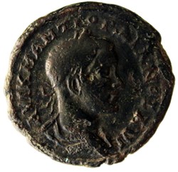 Tétrassaria asklepios