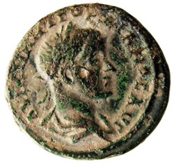 Tétrassaria asklepios