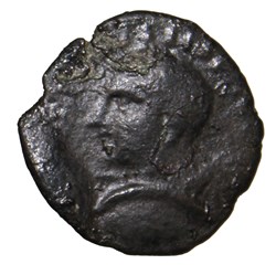 Assarion Gordien tete de boeuf