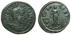Diassaria Gordien lauré, Venus
