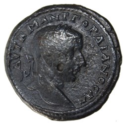 Triassaria demeter