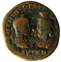 Pentassarie Nemesis