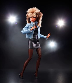 x2022 - TINA TURNER BARBIE DOLL - SKU HCB98