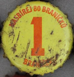 BRANIK