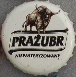 ZUBR