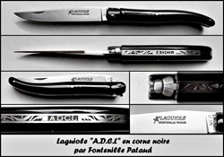 Fontenille Pataud - ADCL corne