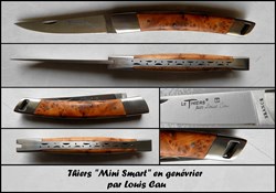 Thiers Locau - Mini Smart genévrier