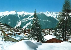 Verbier, vue sur les sommets au dessus de Bruson avec un sapin au premier plan (#V047)