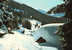 Verbier, en bas de la route Savoleyres-Carrefour (#V111)