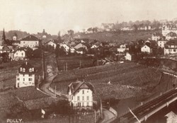 Pully, Av. Samson-Reymondin et Prieuré (#P031)