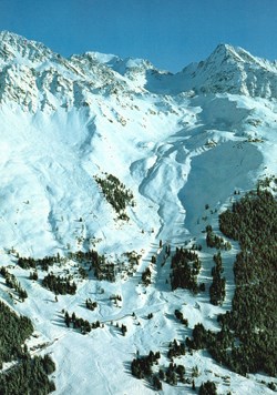 Verbier, combe de Médran (#V134)