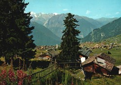 Verbier, sapins, église, Catogne (#V044)
