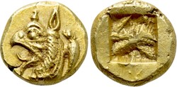 Ionie / Phocée : 1/24 stater - 625 à 522 avant J.-C.