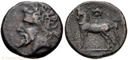 Numidie Quart d'unité de bronze - Massinissa (202 - 148 avant J.-C.)ou Micipsa (148-118 avant J-C)