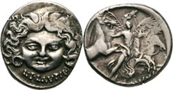 (- 047) Plautia'