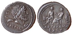 (- 100) Calpurnia'