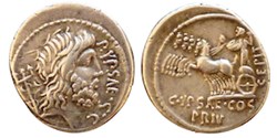 (- 060) Plautia'