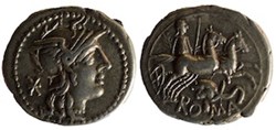 (- 128) Caecilia'