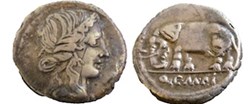 (- 081) Caecilia'