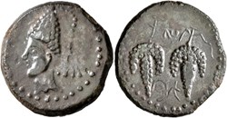 Unité de bronze - LIXUS (50 à 38 avant J.C.)