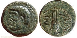 Demie unité de bronze - TINGIS (50 à 38 avant J.C.)