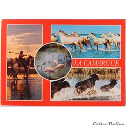 CP de la Camargue