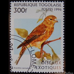 Togo 01513 Linotte mélodieuse 300F de 1996