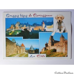 CP de l'Aude, Carcassonne