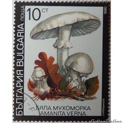 Bulgarie 03353 Amanite printanière 10CT de 1991