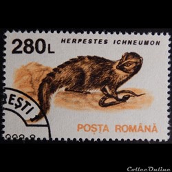 Roumanie 04103 Mangouste 280 Lei de 1993