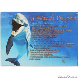 CP Animaux, Dauphins