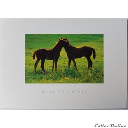CP Chevaux