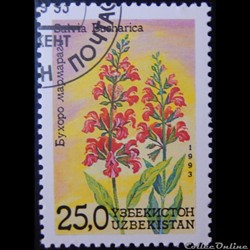 Ouzbékistan00033 fleur Sauge 25.0 Som de 1993