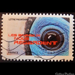 AA01155 Toucan 20g