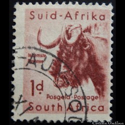 Afrique du Sud 00202 Gnou 1d de 1954