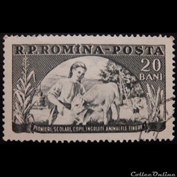 Roumanie 01347 fille donne à boire à un veau 20 Bani de 1954