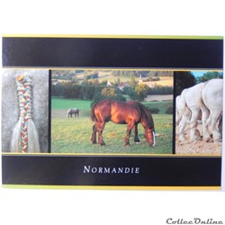 CP Chevaux en Normandie