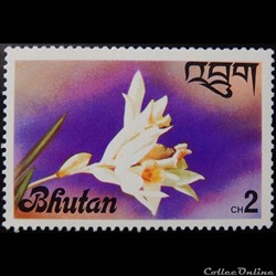 Bhoutan 00509 orchidé Thunia alba 2ch 1976