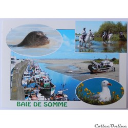 CP de la Somme, la baie de Somme