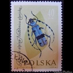 Pologne 01142 Rosalie des Alpes 40Gr de 1961