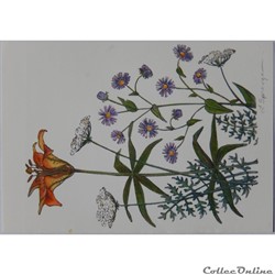 CP Peinture