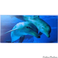 CP Animaux, Dauphins