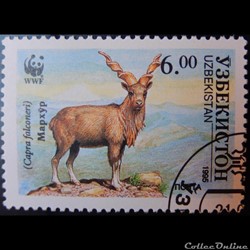 Ouzbékistan00061AA Markhor 6.00 Som de 1995