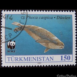 Turkménistan 00043 Phoque de la Caspienne 150 R de 1993