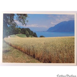 CP de Suisse, Genève, Lac Léman