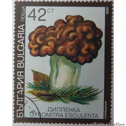 Bulgarie 03356 fausse Morille 42CT de 1991