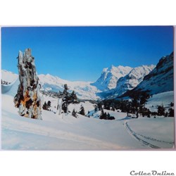 CP de Suisse, Berne, Grindelwald