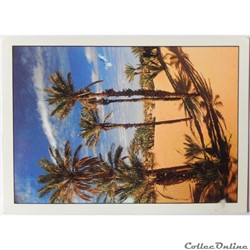 CP du Maroc