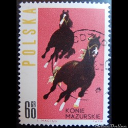 Pologne 01316 chevaux de la région de Mazurskie 60Gr de 1963