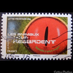 AA01154 Rainette à yeux rouges 20g